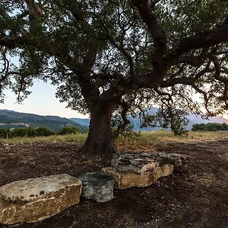 Evgoron Villa